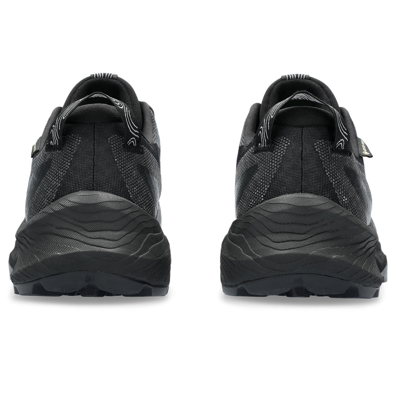 Women's Trail Shoes | GEL-TRABUCO 12 GTX | ASICS Hong Kong