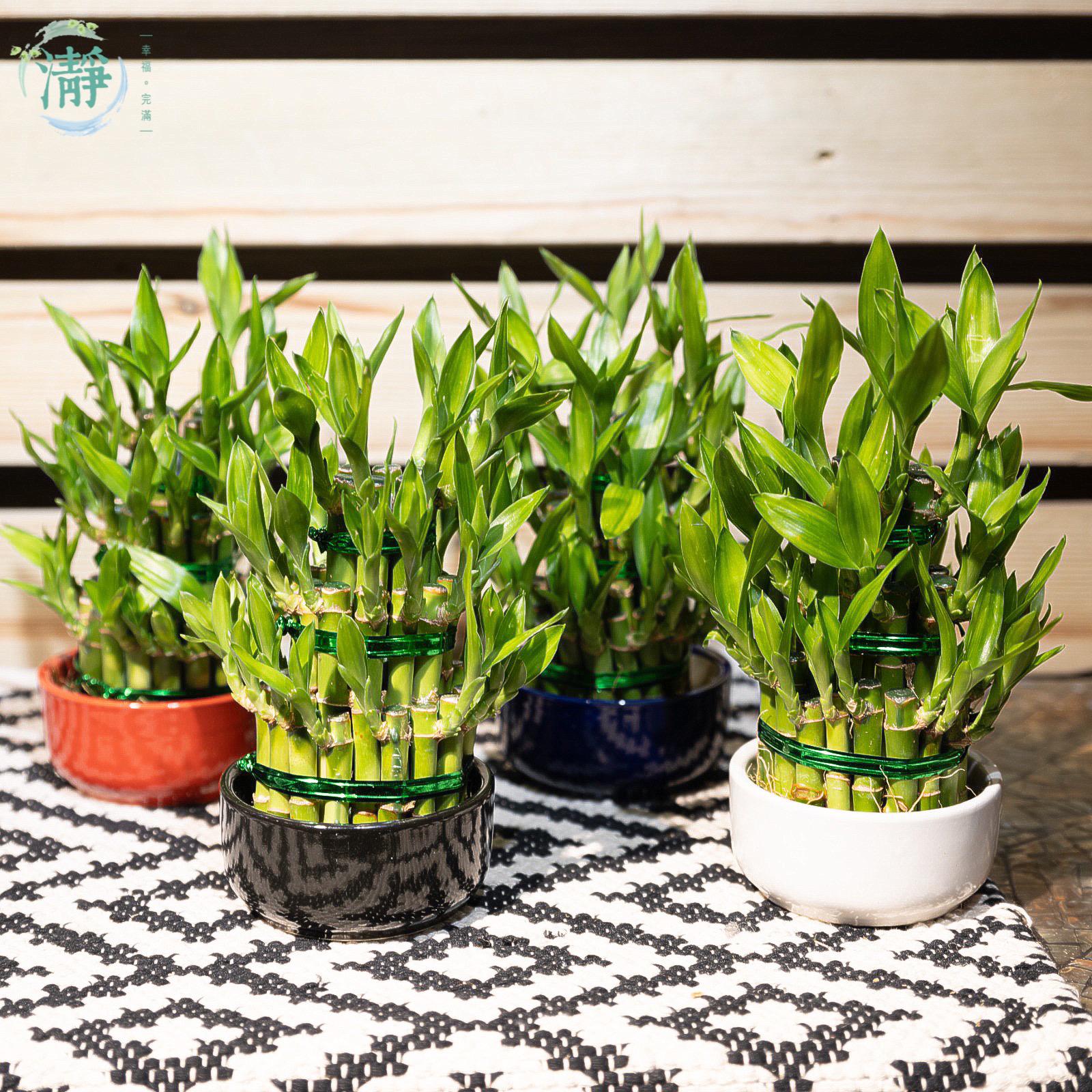 Tower of Lucky Bamboo - 3 Tower_0