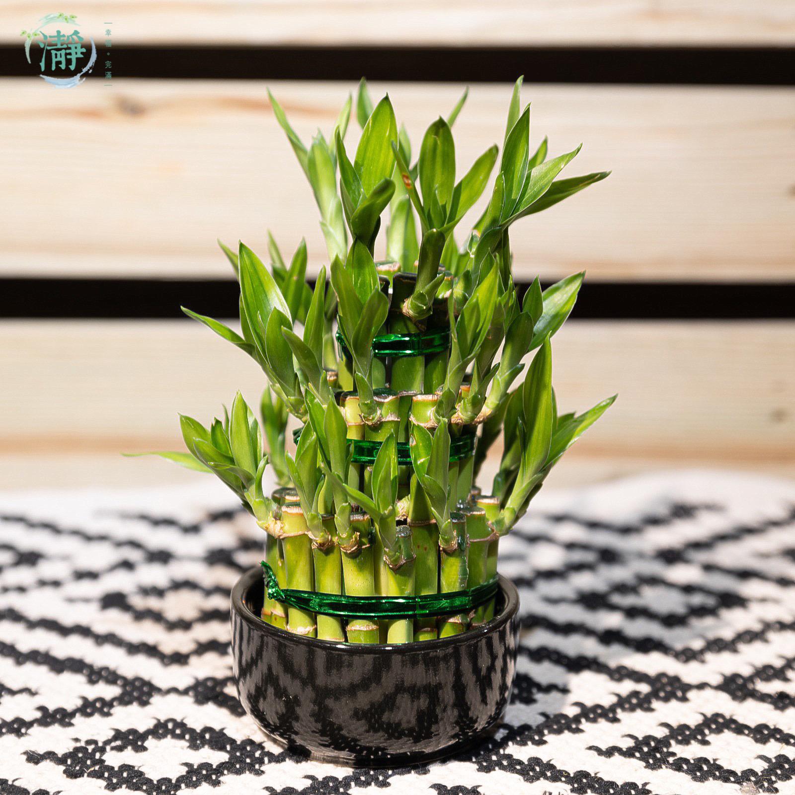 Tower of Lucky Bamboo - 3 Tower_1