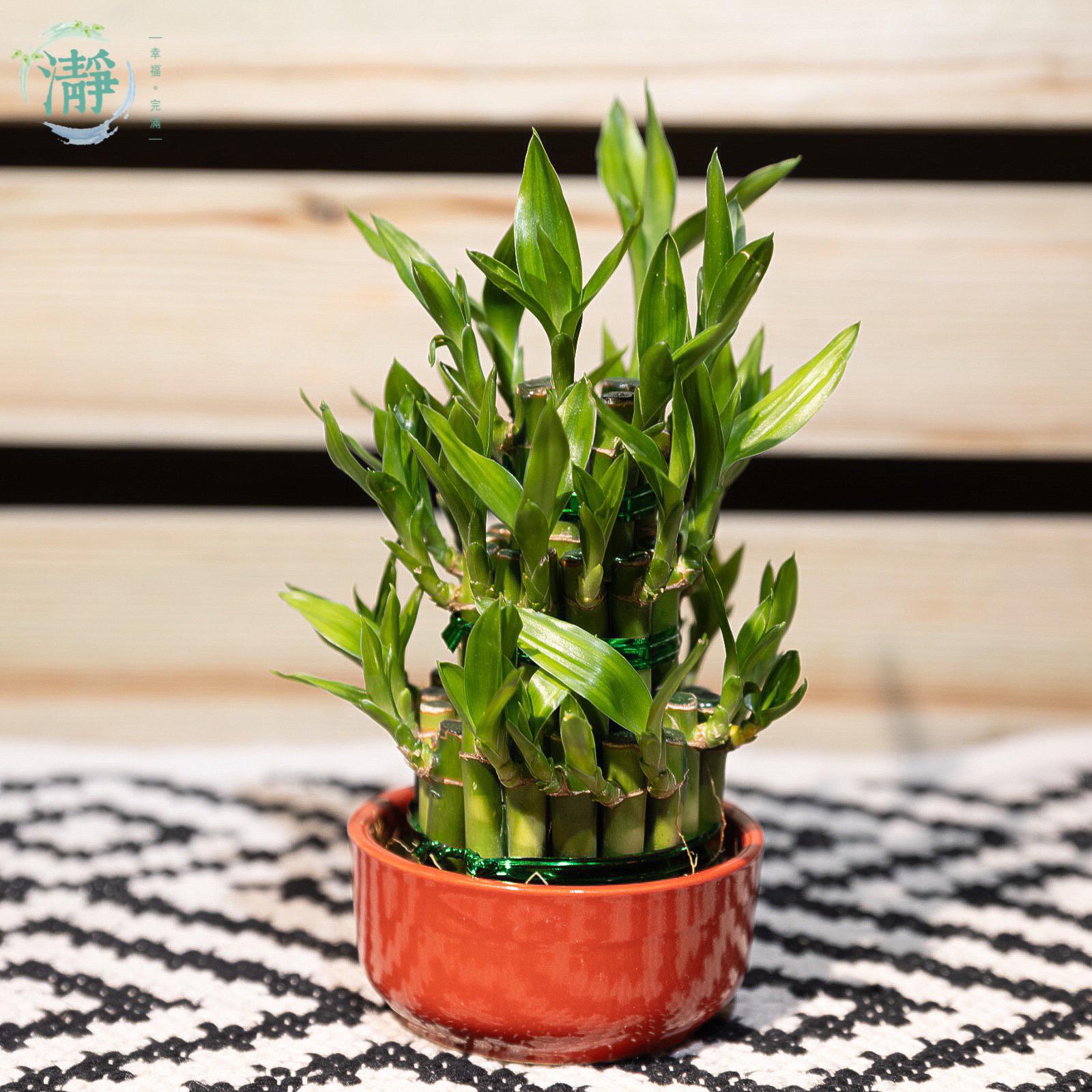 Tower of Lucky Bamboo - 3 Tower_5