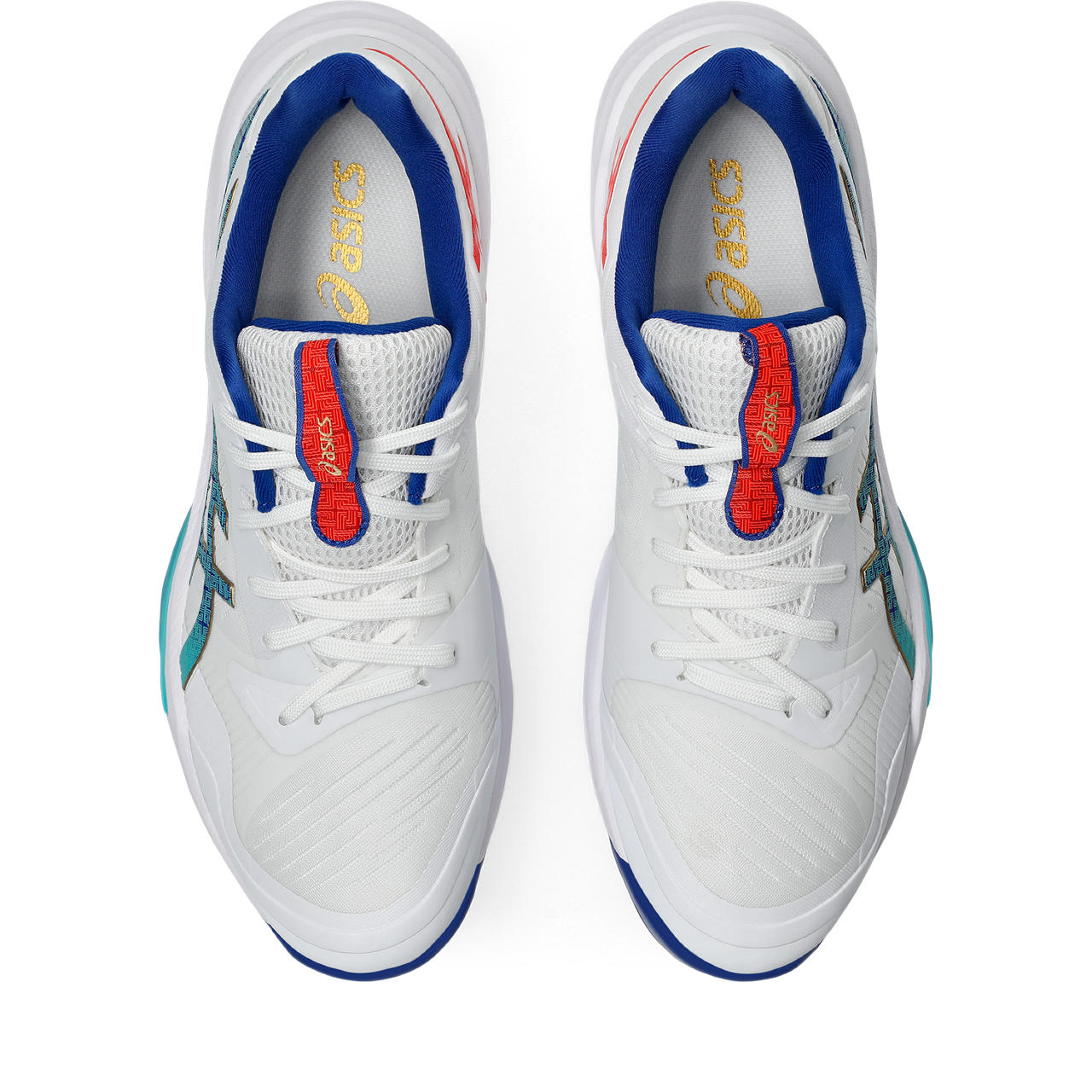 Airsky様 Men's Volleyball Shoes | SKY ELITE FF | ASICS Hong Kong