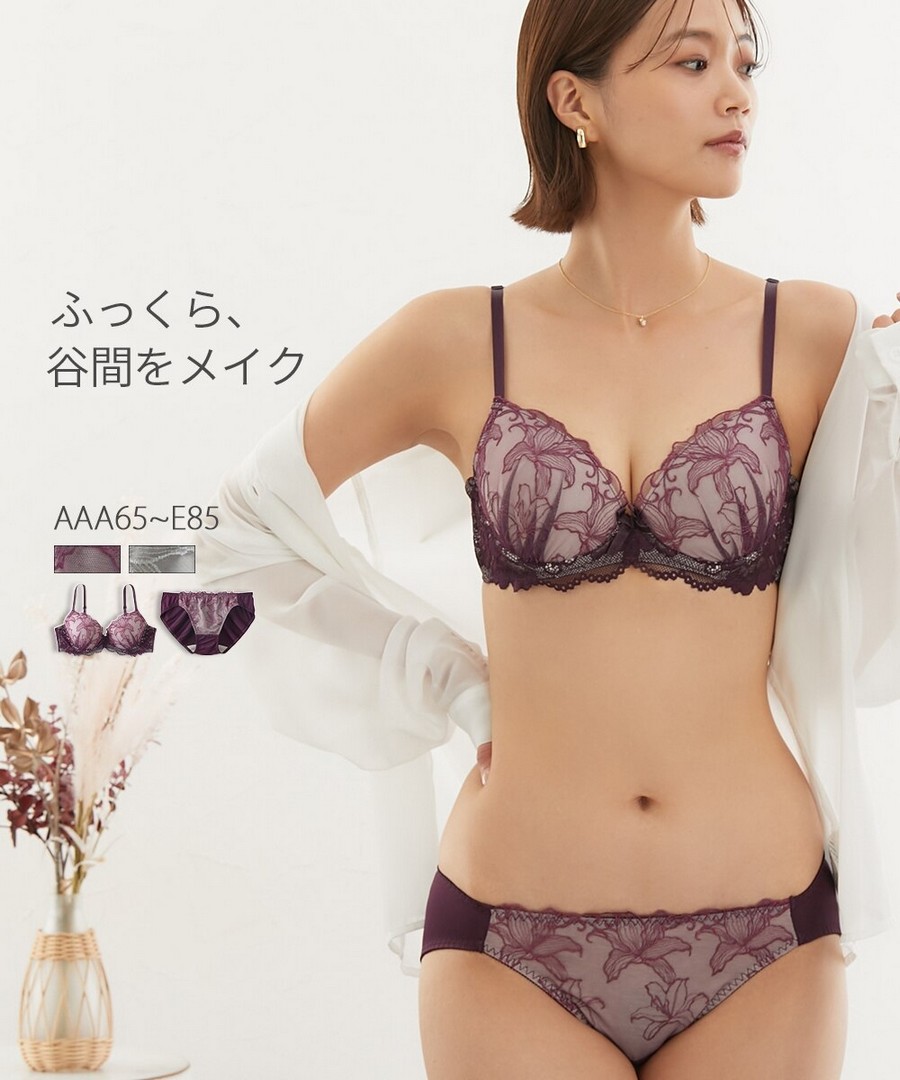 nissen 蕾絲網紗彈力內衣套裝 (日本女裝內衣) NSCFC0125D0002 FW25