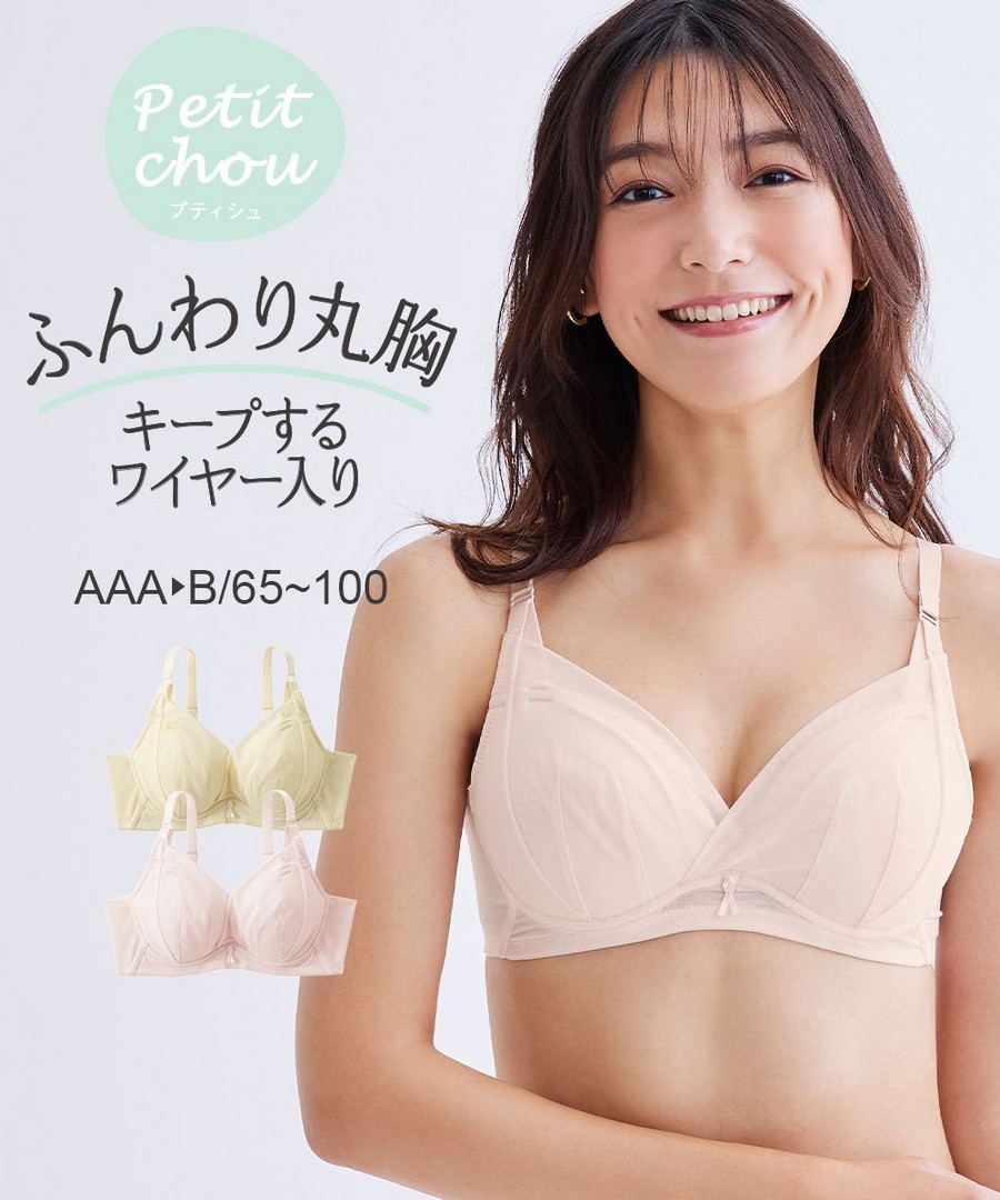 nissen 小胸尺寸柔軟貼合軟鋼圈內衣(Petit Chou) (日本女裝內衣) NSCFC0326A0002 FW25