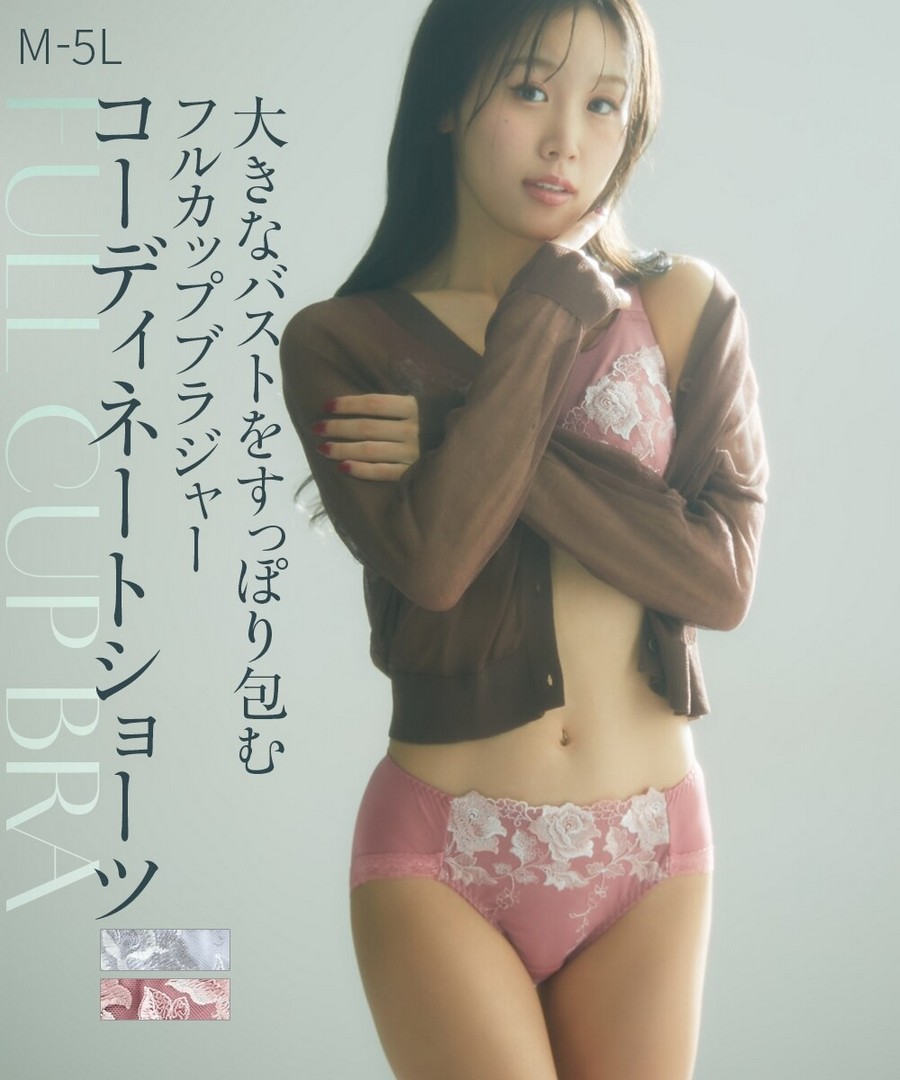 nissen 高腰刺繡蕾絲內褲 (日本女裝大尺碼內衣) NSCFC0326A0005 SS26