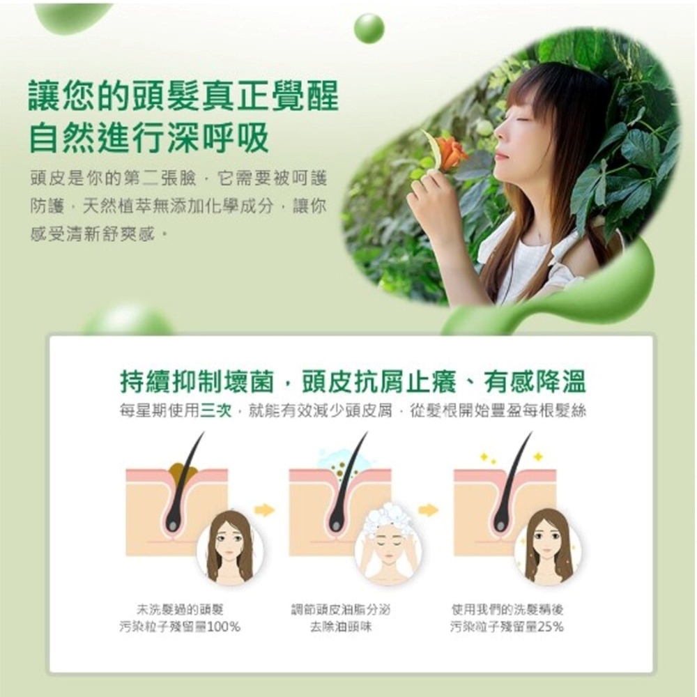 MG瑪格諾莉雅 香氛植萃洗髮精500ml(三效合一)