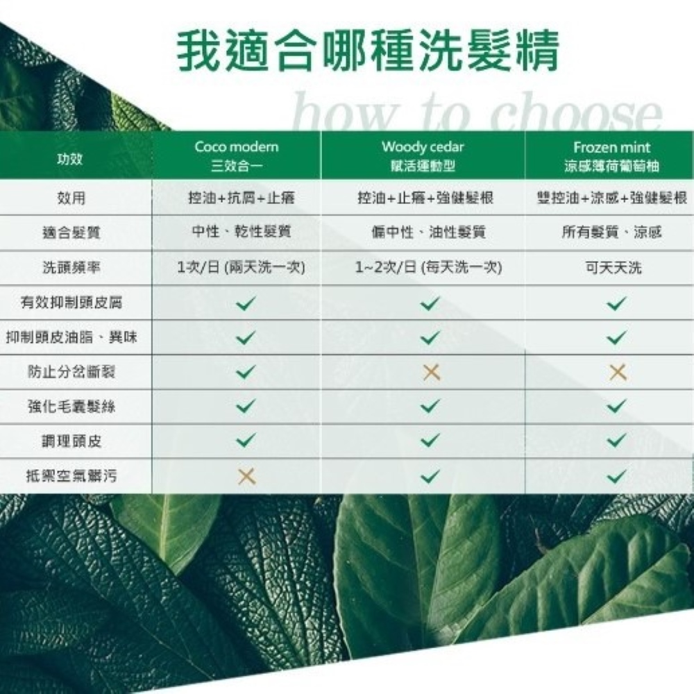 MG瑪格諾莉雅 香氛植萃洗髮精500ml(三效合一)