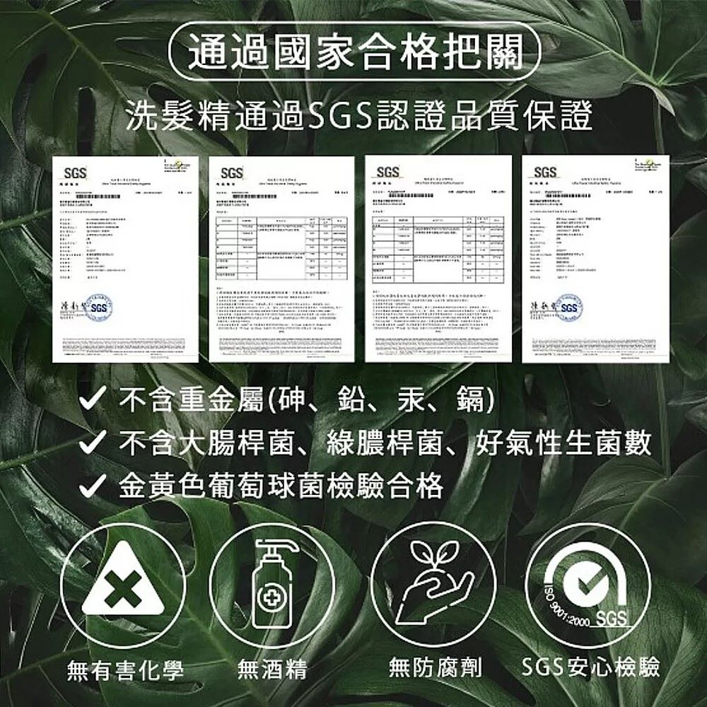 MG瑪格諾莉雅 香氛植萃洗髮精500ml(三效合一)