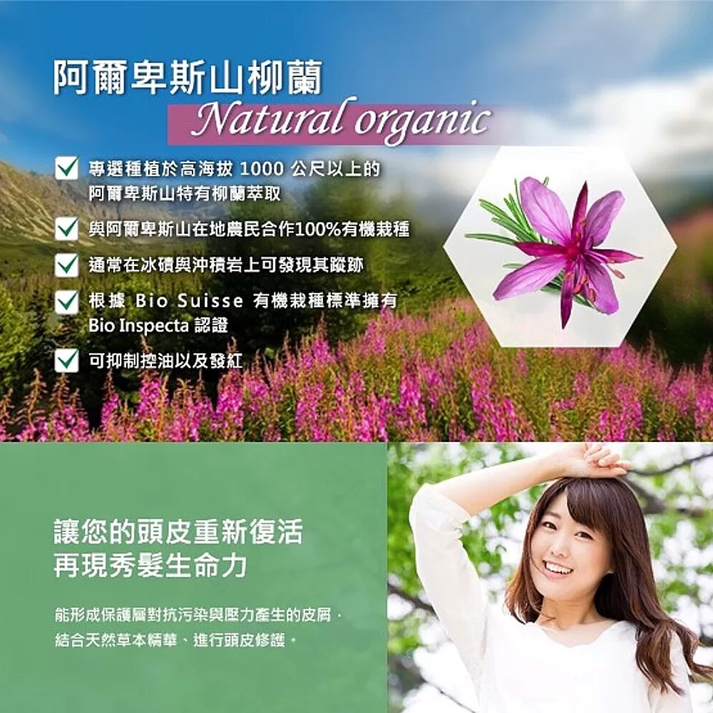MG瑪格諾莉雅 香氛植萃洗髮精500ml(涼感薄荷)