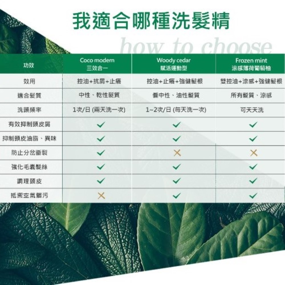 MG瑪格諾莉雅 香氛植萃洗髮精500ml(涼感薄荷)