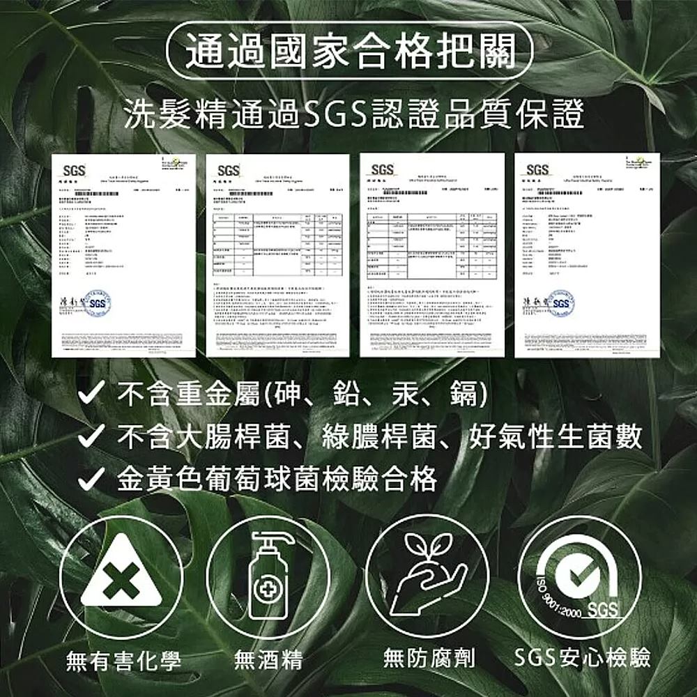 MG瑪格諾莉雅 香氛植萃洗髮精500ml(涼感薄荷)