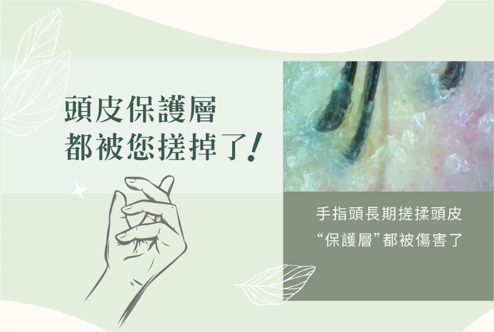 MG瑪格諾莉雅 頭皮精華液80ml