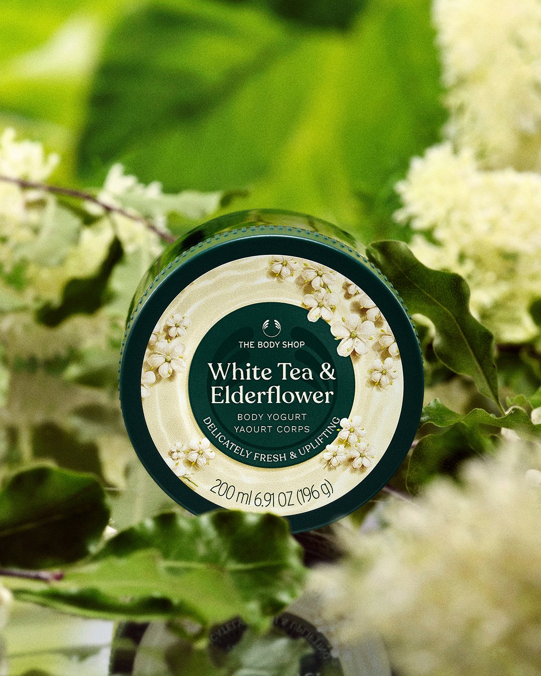 White Tea and Elderflower Body Yogurt | Popular Recommendation