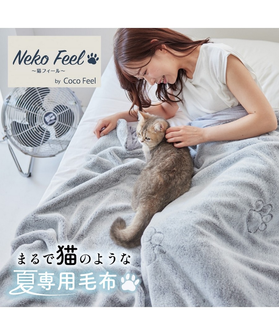 nissen 宛如貓咪!蓬鬆感夏用毛毯(貓Feel) (日本家品) NSVAP0126C0010 SS26